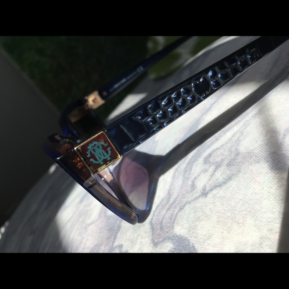 Roberto Cavalli Blue and Gold Sunglasses ✨ main image 4